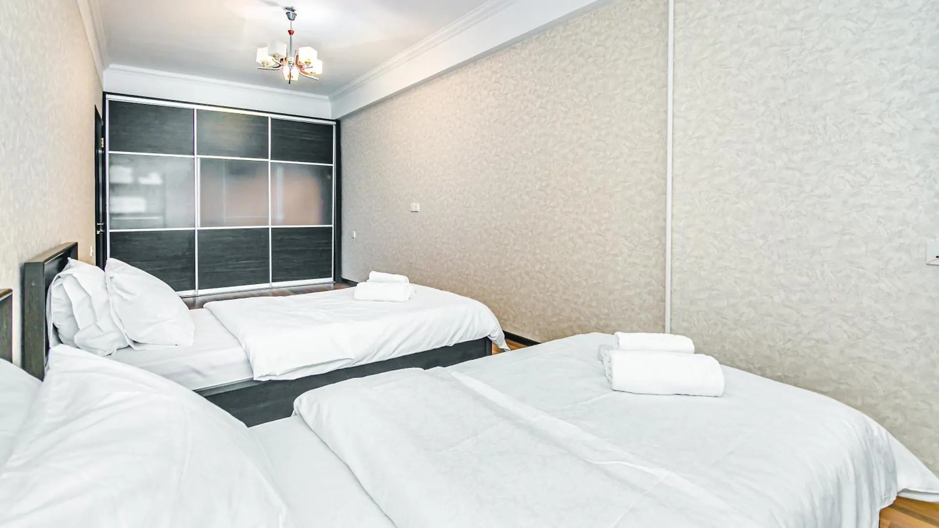 Central Apartment 2 Bedroom And Living Hall Baku