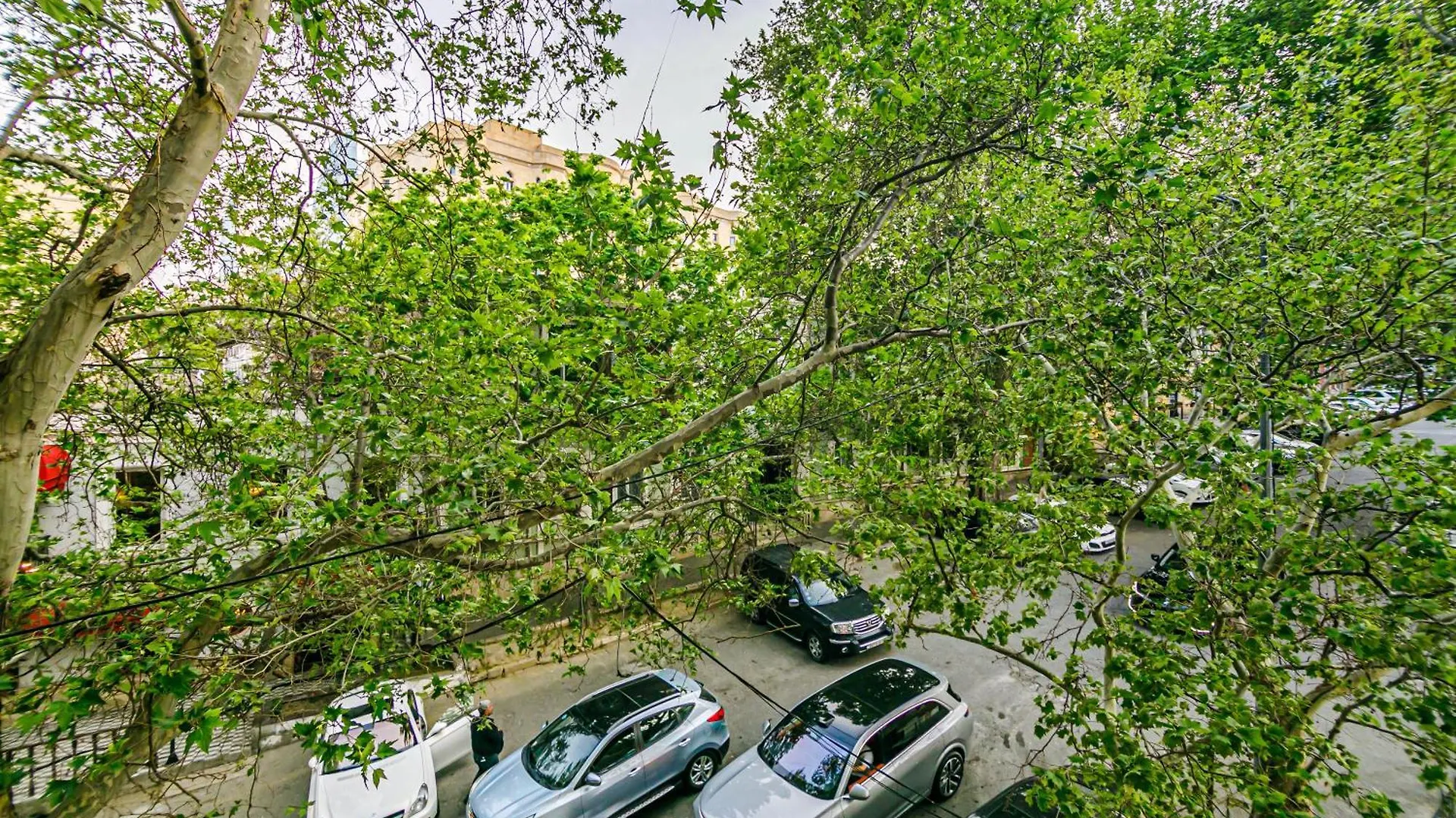 Central Apartment 2 Bedroom And Living Hall Baku 0*,  Azerbaijan